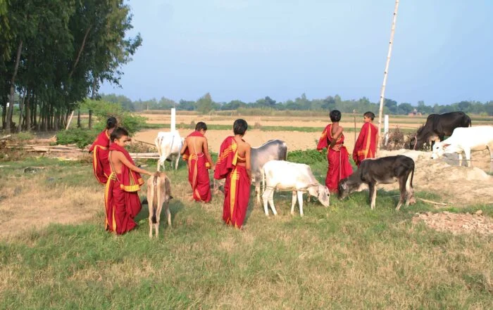 Gallery-Image